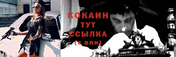 спиды Абинск