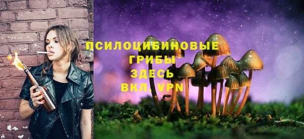 MDMA Premium VHQ Абаза