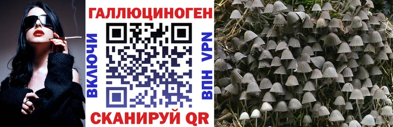 Галлюциногенные грибы Magic Shrooms Шахунья