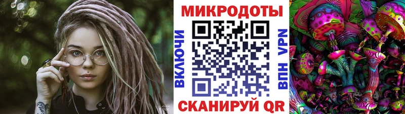 Псилоцибиновые грибы Psilocybine cubensis  купить наркотики сайты  blacksprut как зайти  Шахунья 